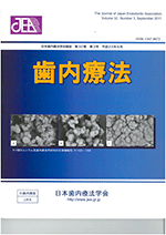 歯と歯茎の断面図